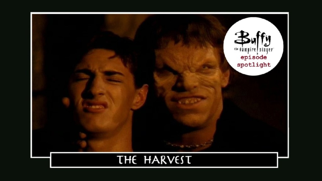 Spotlight: The Harvest