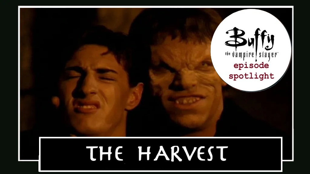 Spotlight: The Harvest