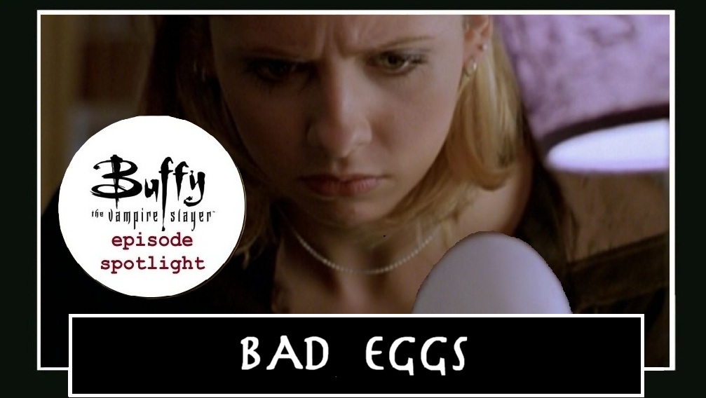 Spotlight: Bad  Eggs